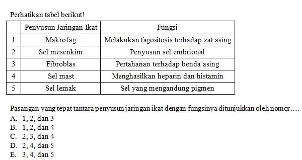 Apa Sih Bedanya Soal Hots Dan Soal Yang Bukan Hots Inti Pkn