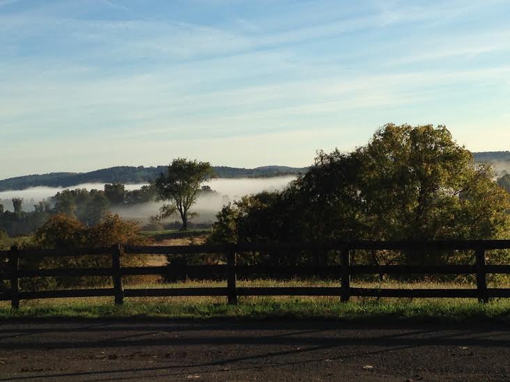 2015 UPDATE: The Natural Connection has found a long-term home out in Fauquier County!