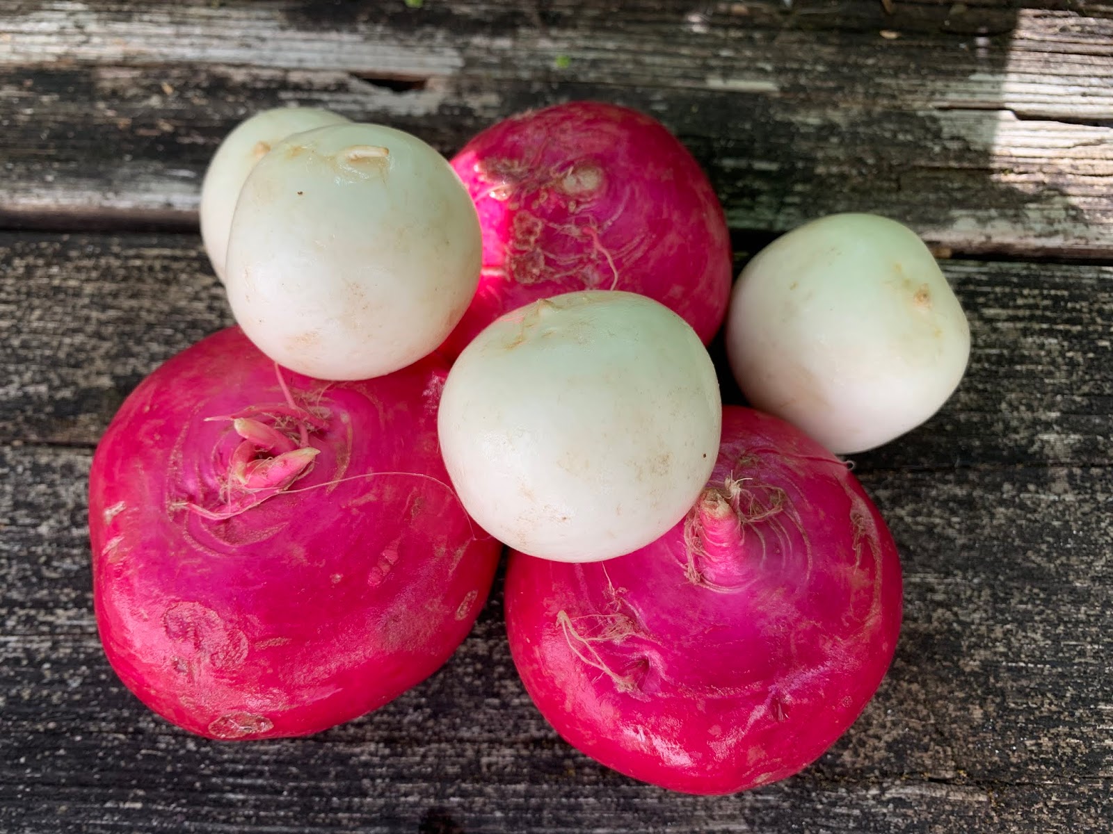 Fairmount Neighborhood Farmers Market Instant Pot Miso Glazed Turnips