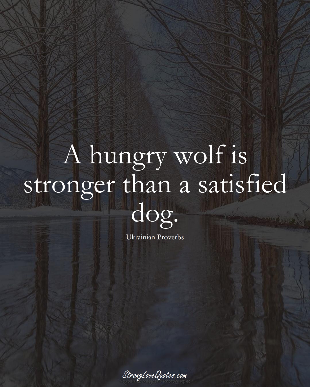 A hungry wolf is stronger than a satisfied dog. (Ukrainian Sayings);  #EuropeanSayings