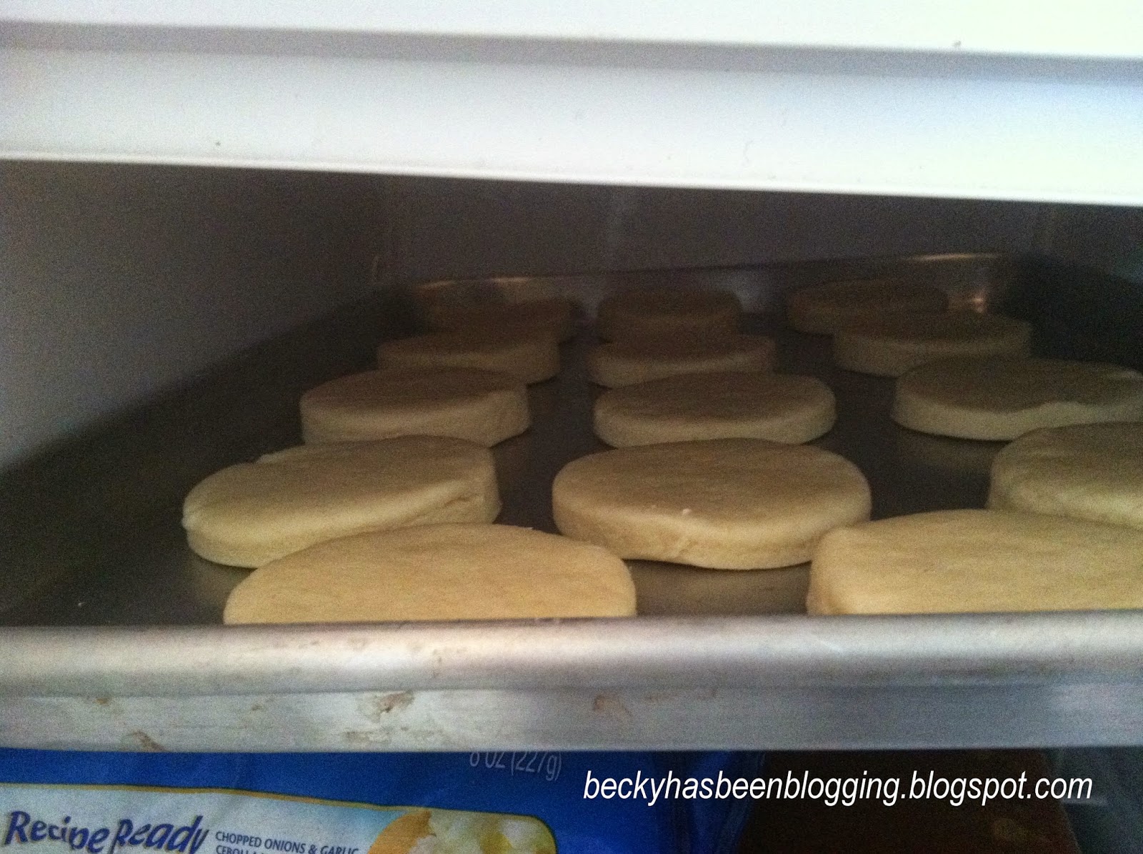 Becky Has Been Blogging: Super Simple Freezer Biscuits