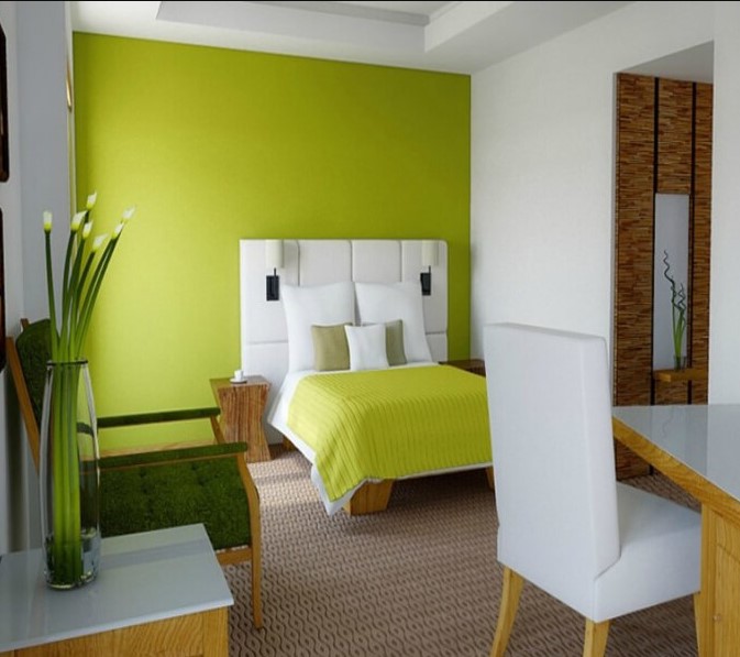 Warna Cat Rumah Minimalis Dulux Minimalis