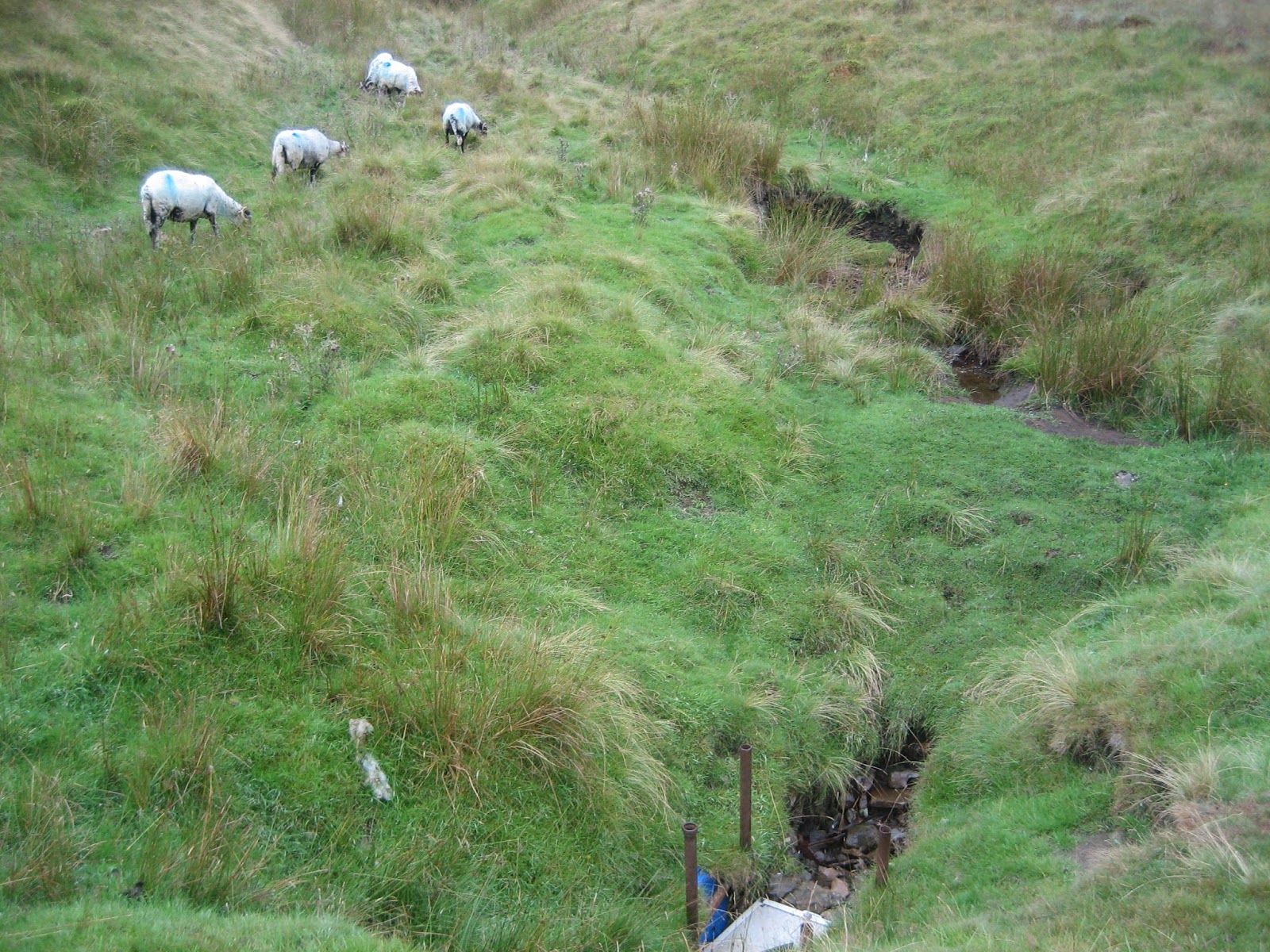 A Three Peaks Up and Under