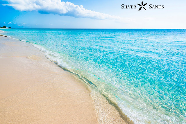 Silver Sands Condos Views for Quarantine and Freedom Front Row Seats to Our Gorgeous Beach.