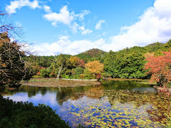 ���������e�r