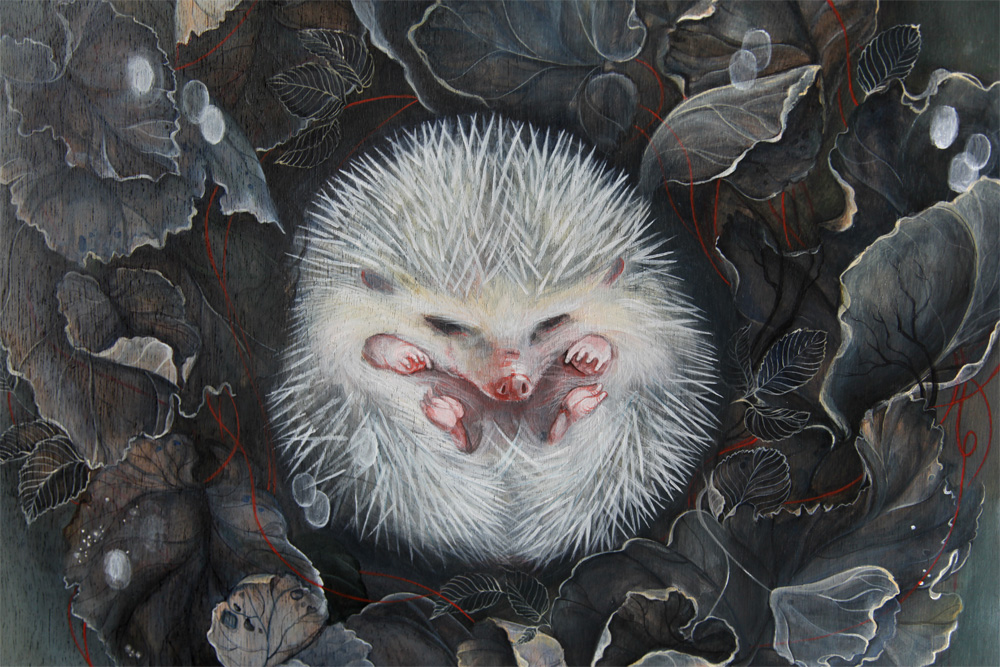 Крутой ежик. Ежик джентльмен. Ежик рисованный. Фантастический еж. Ежик фэнтези.