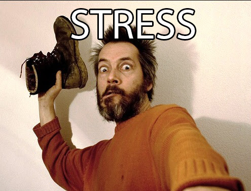 Meme Stress Kakek Lempar Batu - BangRingo