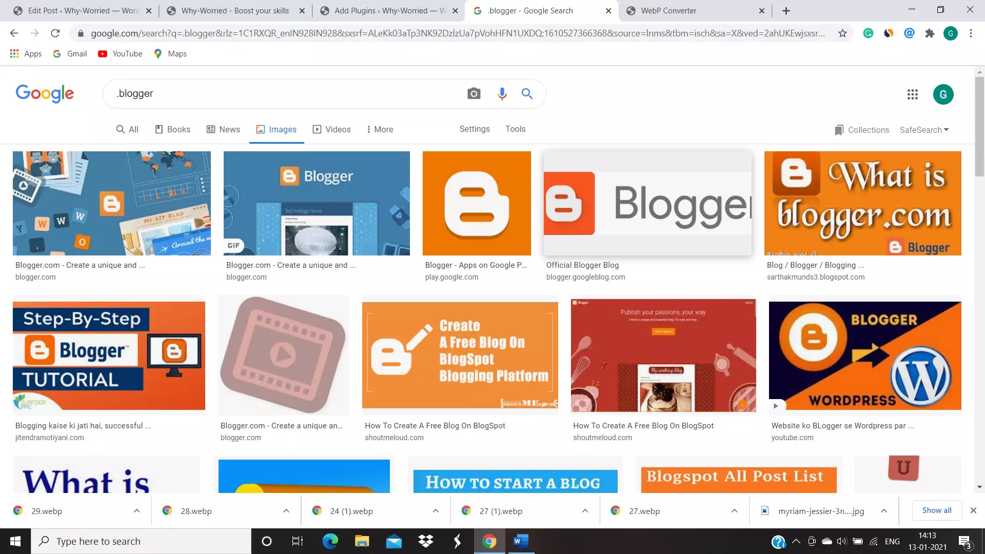 images of blogger taken from google images