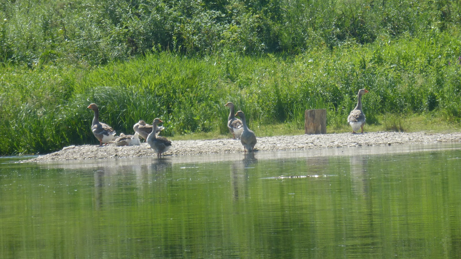 Реки хопер и ворона
