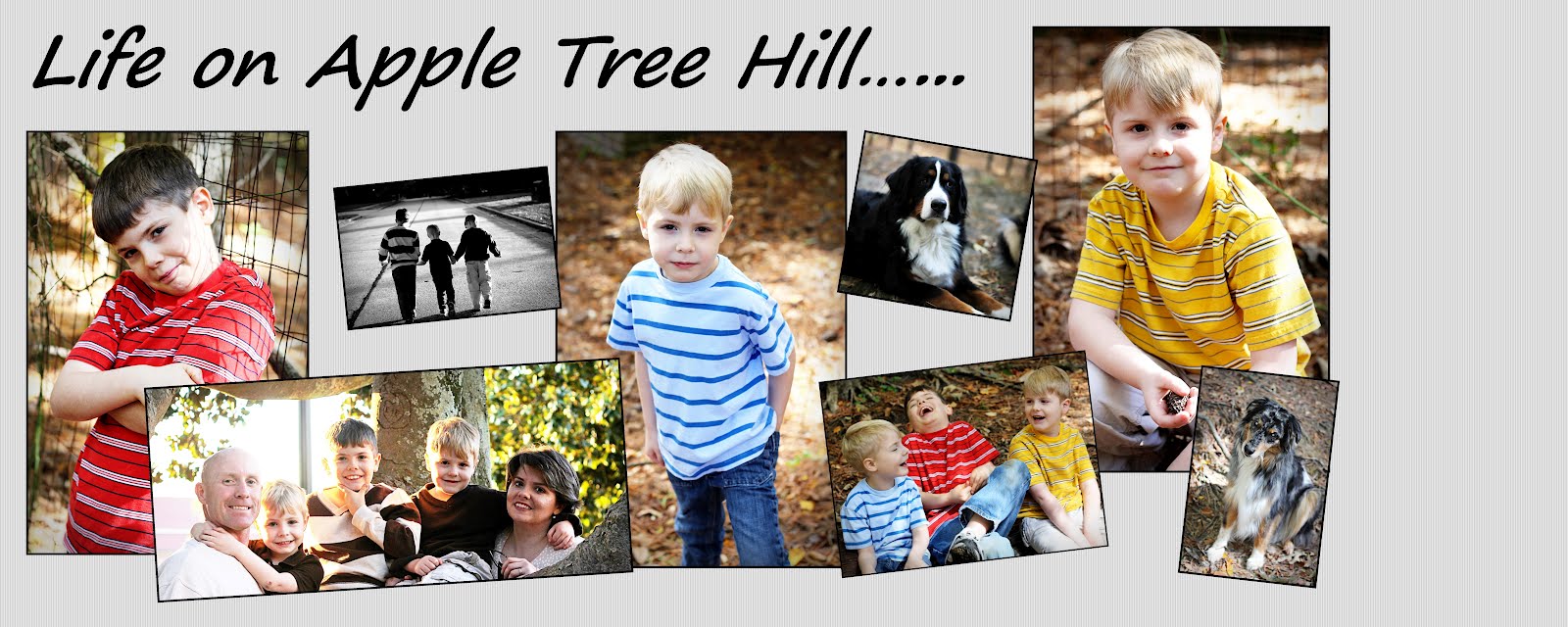 Life On Apple Tree Hill