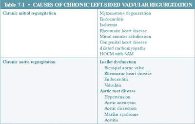 Causes of Chronic Left-Sided Valvular Regurgitation