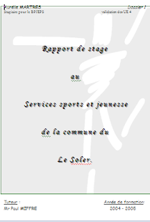 rapport de stage centre social