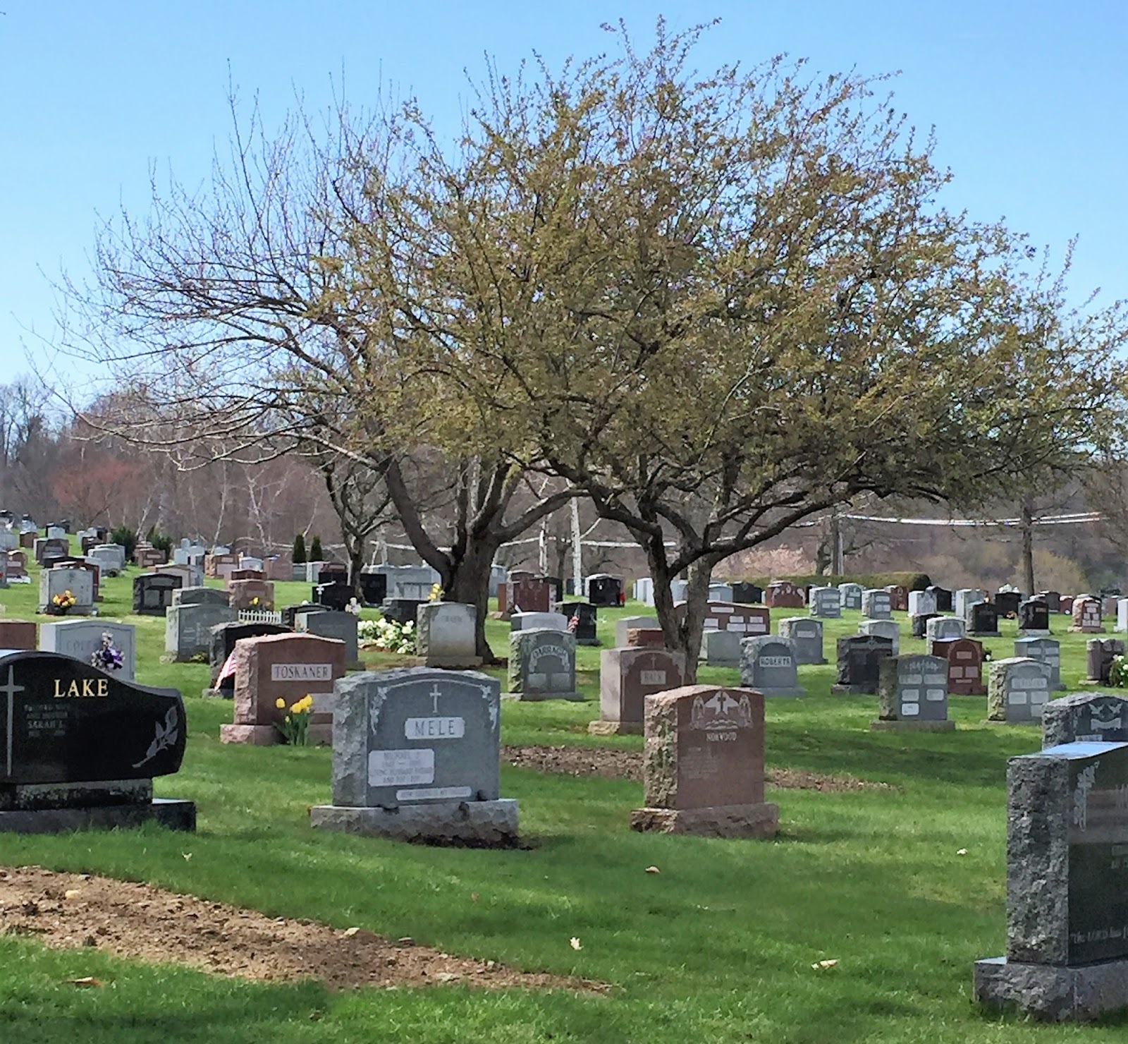Souvenir Chronicles VALHALLA, NEW YORK KENSICO CEMETERY
