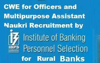Naukri vacancy Recruitment CWE by IBPS for Rural Banks