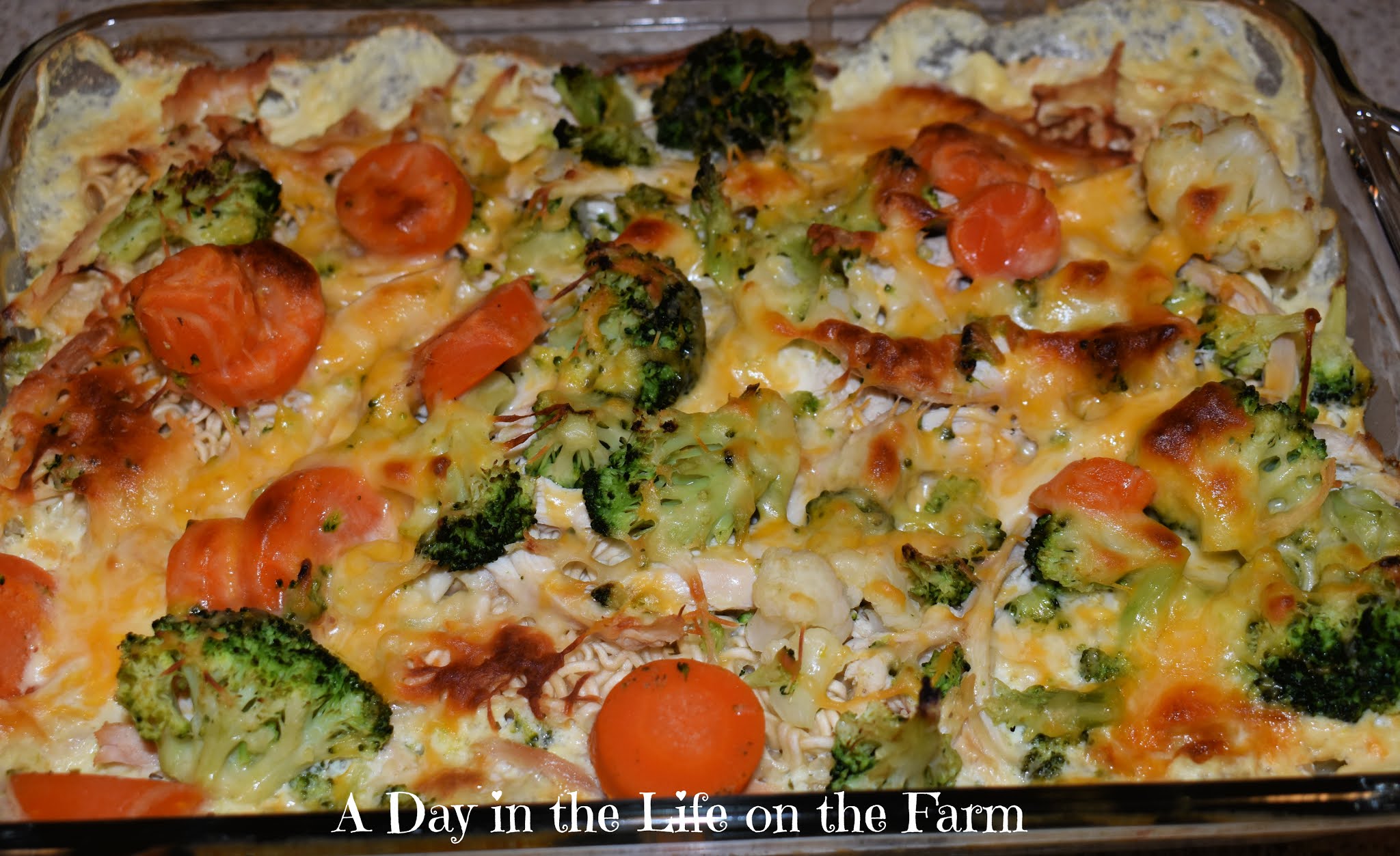 A Day in the Life on the Farm Chicken and Ramen Noodle Dump Casserole