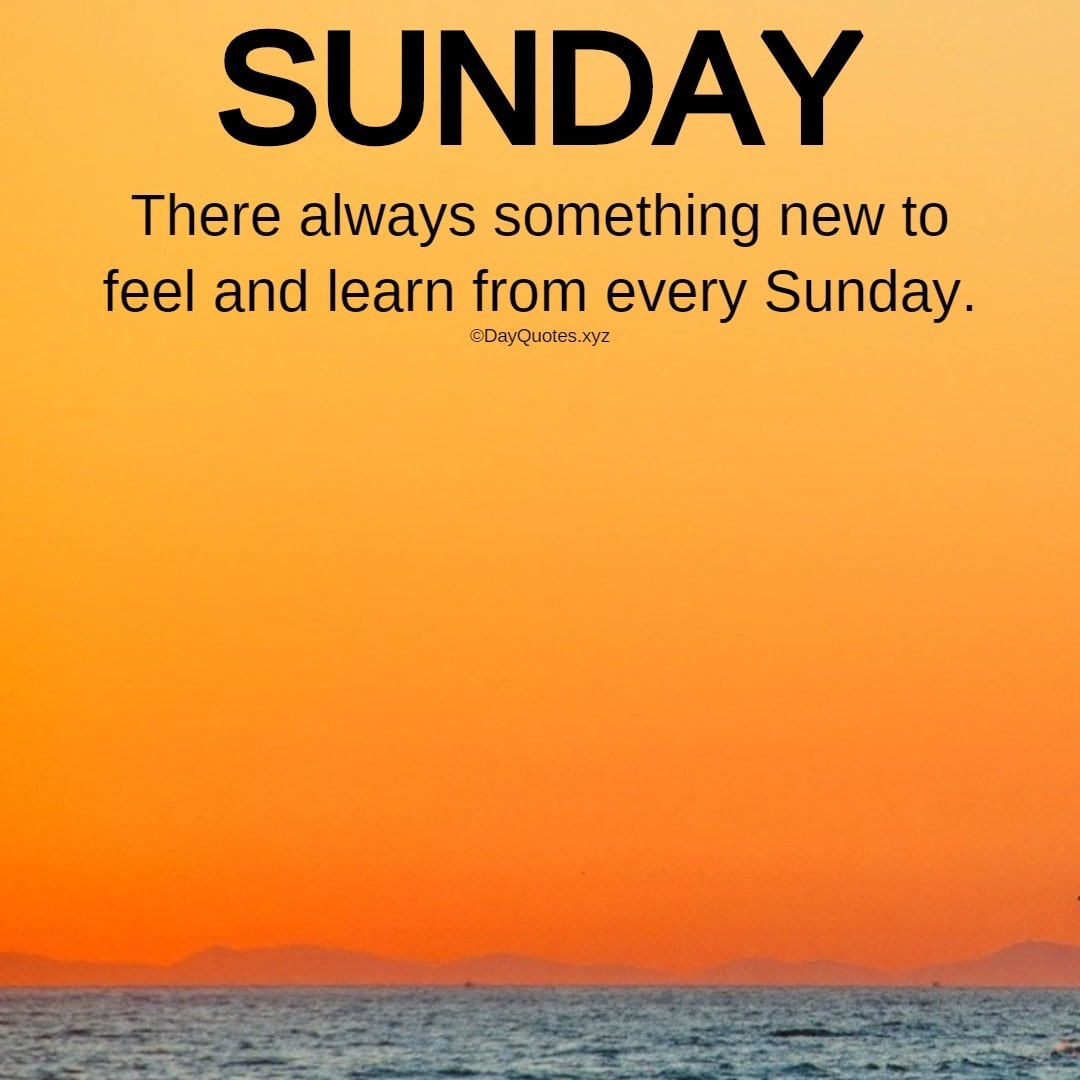 Best Sunday Quotes To Feel The Happiness Best Sunday Quotes To Feel The Happiness