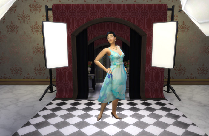 Sims 4 Photography Backdrop