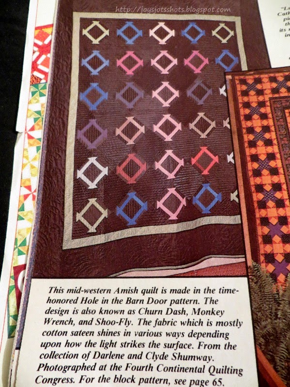 Joy S Jots Shots Whatnots Quilt Shot Block 23 Hole In The