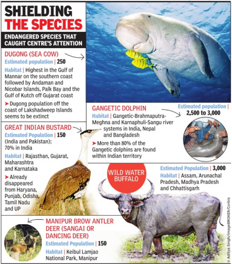 Money To Save Endangered Animals Fantastic Fundas money-to-save-endangered-animals-fantastic-fundas