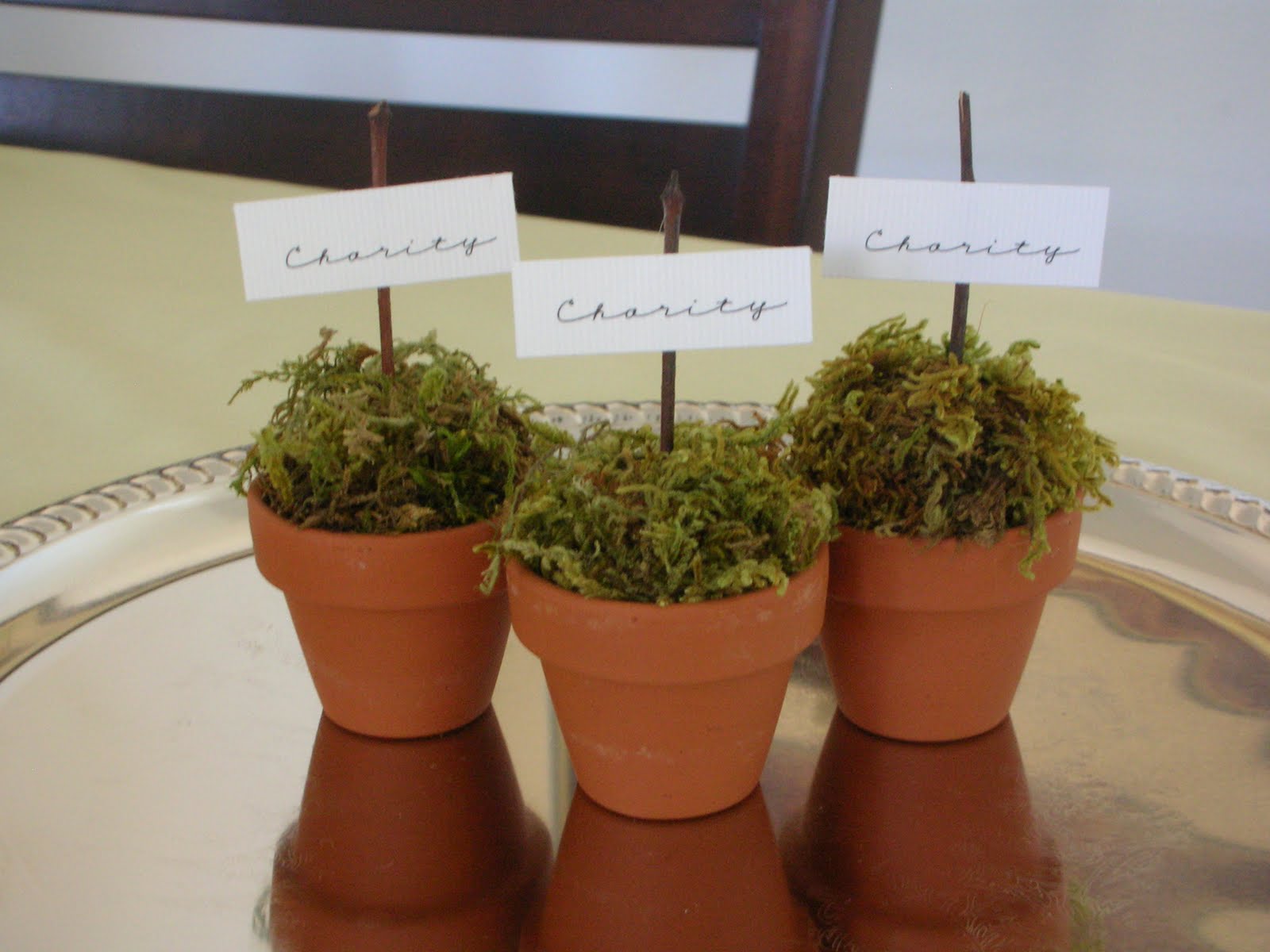 be inspired pots of moss