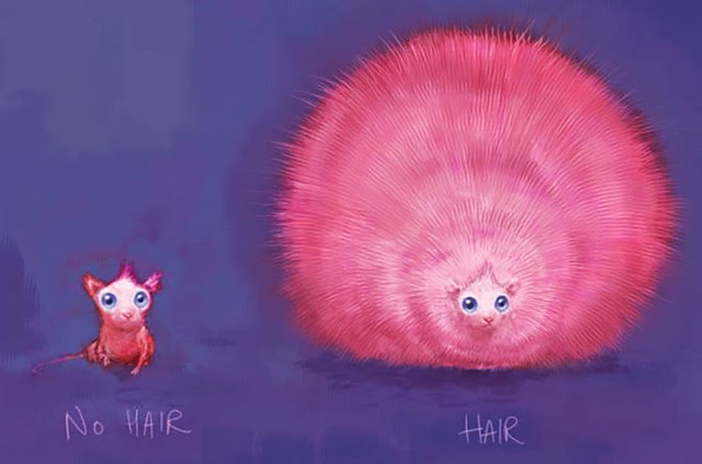 Novo livro mostra artes conceituais das criaturas de Harry Potter Novo livro mostra artes conceituais das criaturas de Harry Potter