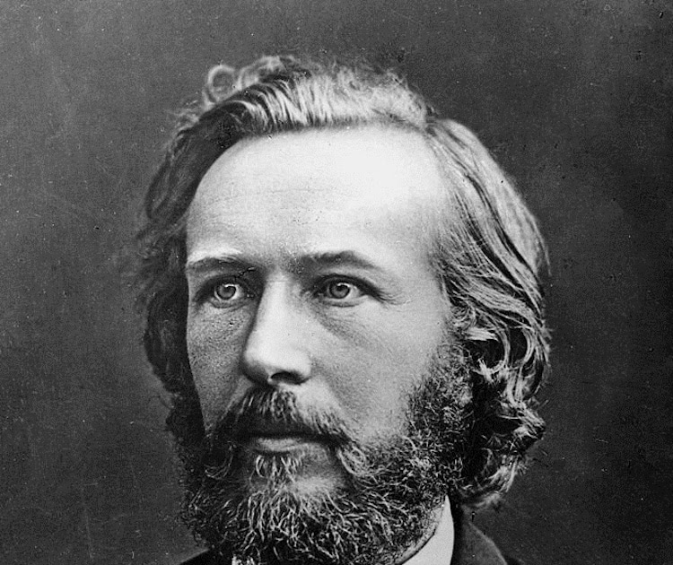 Геккель (1834—1919). Э геккель. Эрнст геккель (1834-1919). Немецкий биолог эрнст геккель. Э геккель.