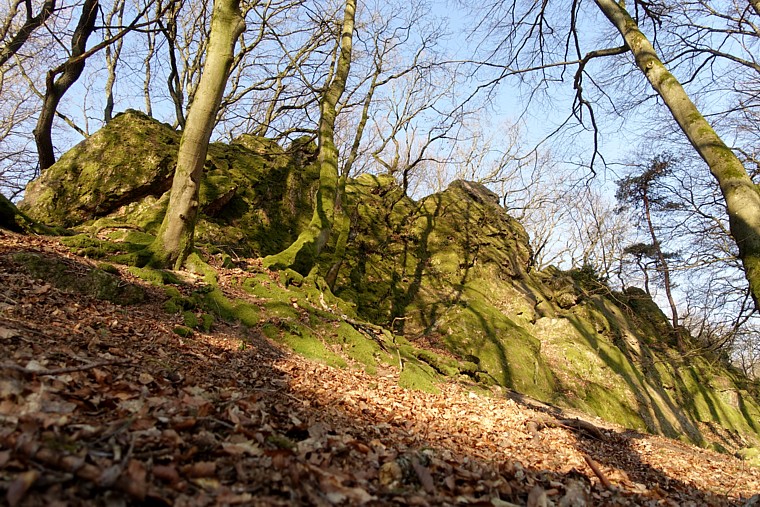 Taunus Wiesbaden: Wanderung ab Grauer Stein (Frühling 2020)