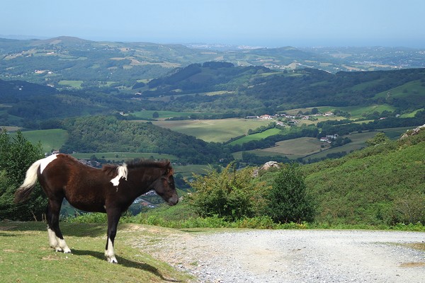 pays basque ainhoa randonnée facile pyrénées panoramique la rhune oratoire