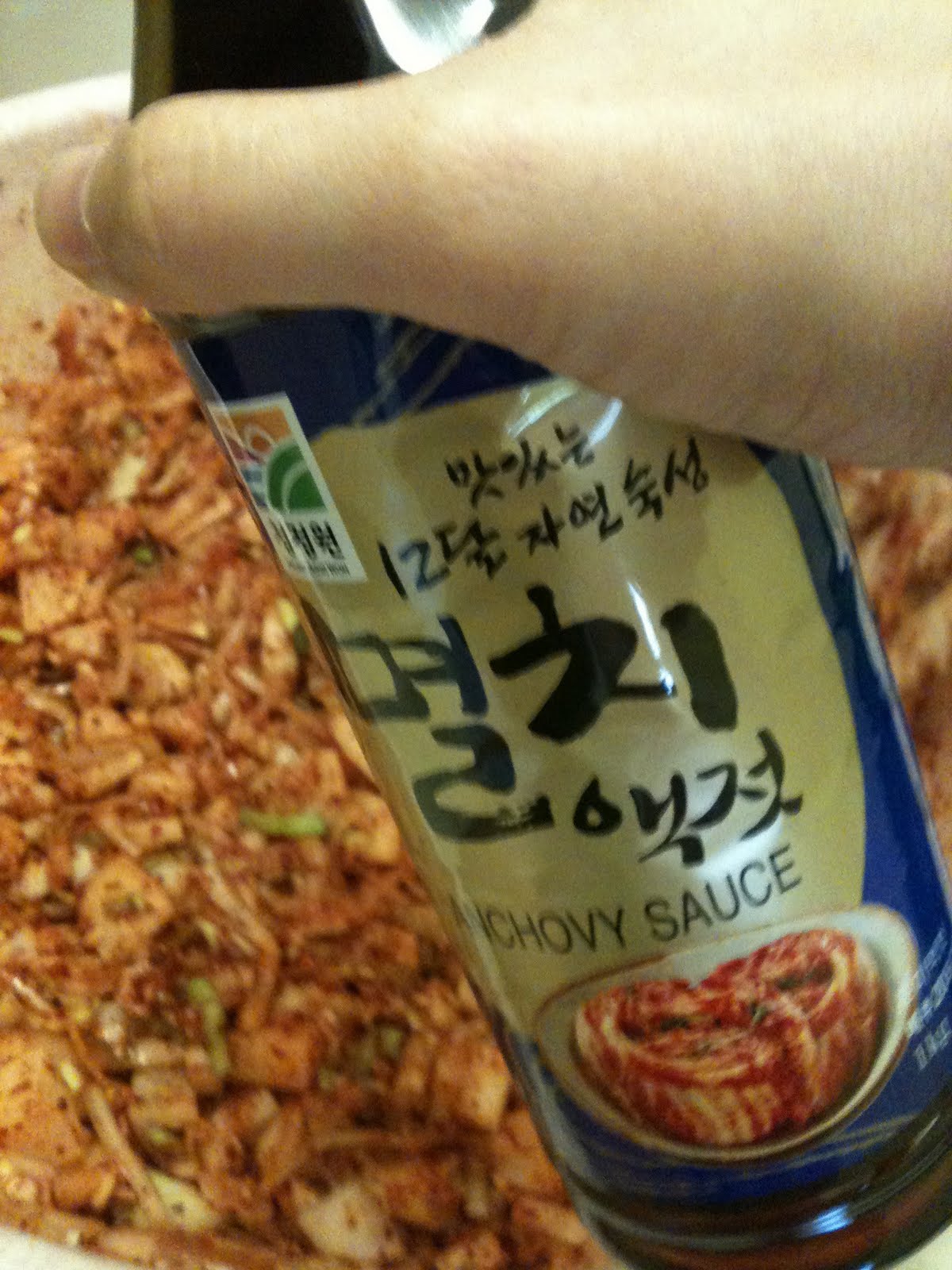 도시락 girl (Dosirak girl) Korean Bento How to Kimchi (family 김치 recipe!)