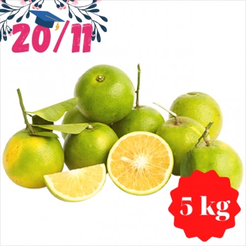 Cam Lòng Vàng Cao Phong 5kg (Hộp Quà 20/11)