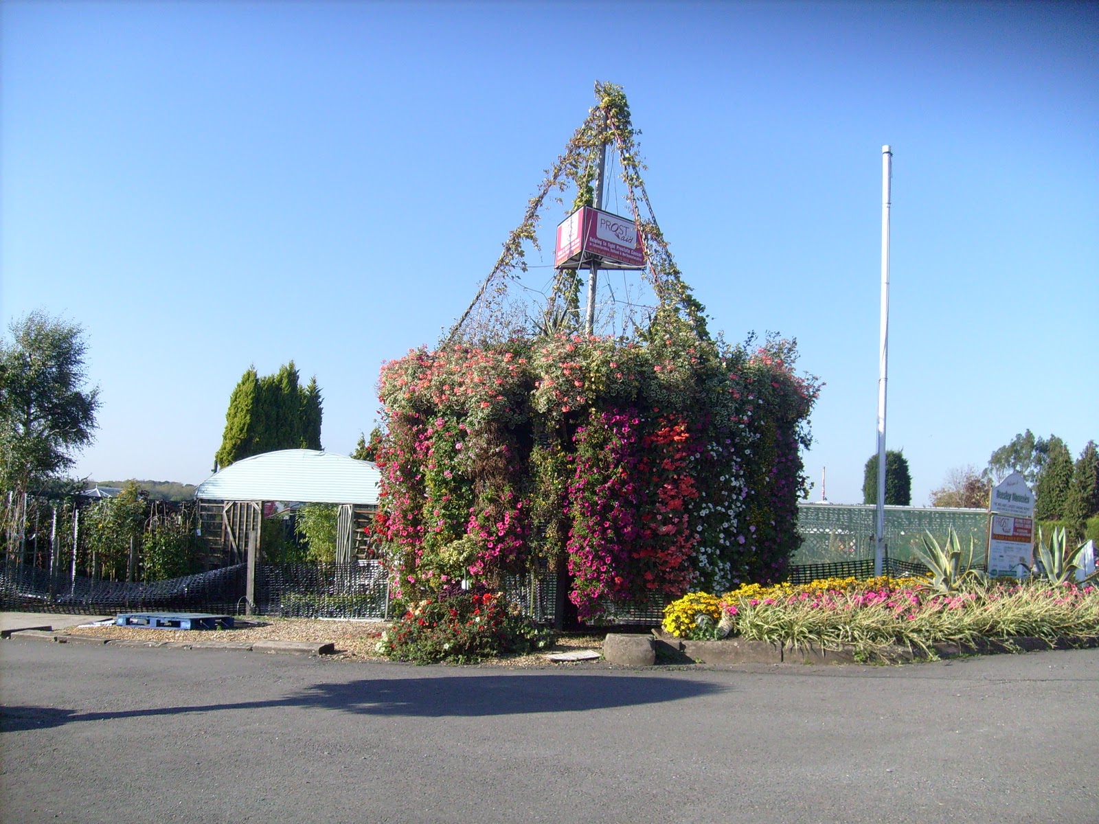 Our World Giant Hanging Baskets