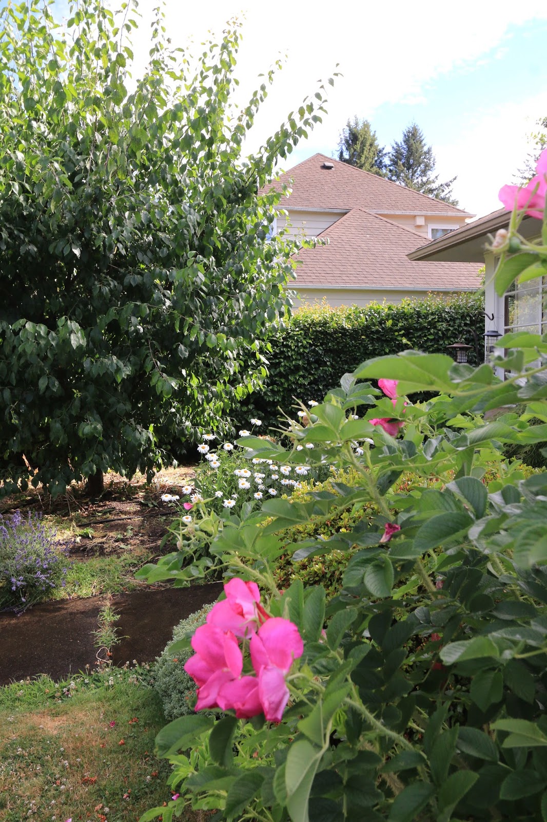 Delights of the Heart