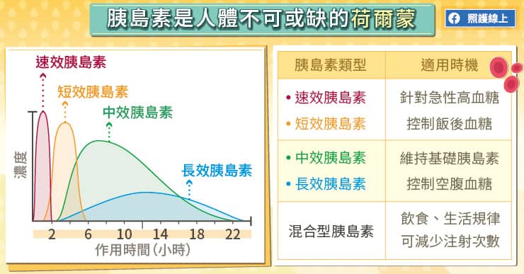 胰島素是身體不可或缺的荷爾蒙