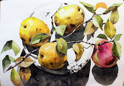 NAMIL ART: [ watercolor step by step] Quince still life