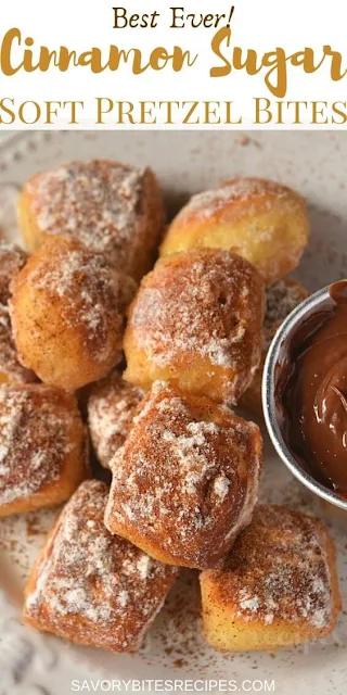 best ever recipe of cinnamon sugar soft pretzel bites