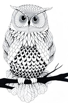 Top 10 Free Printable Owl Coloring Pages