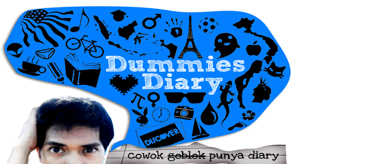 Dummies Diary