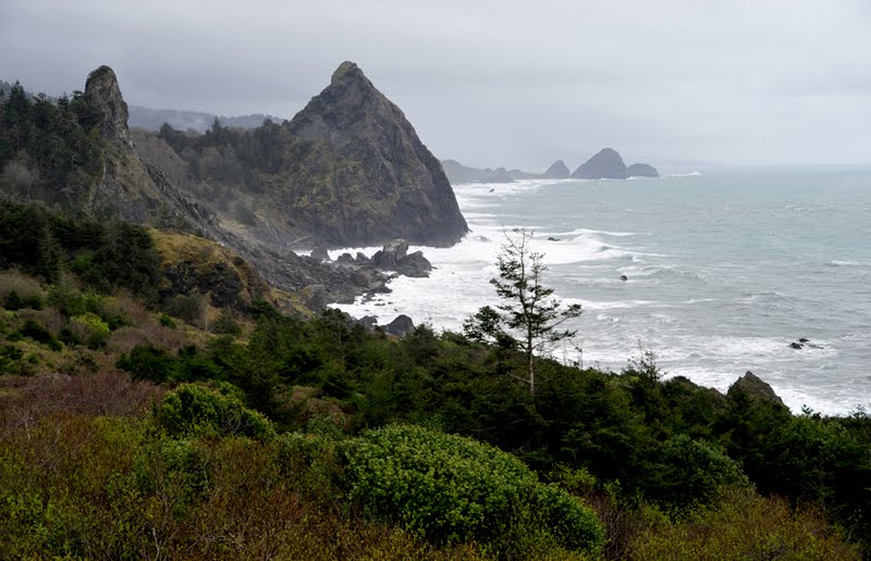 OMOREAN PHOTOGRAPHY Gold Beach Oregon