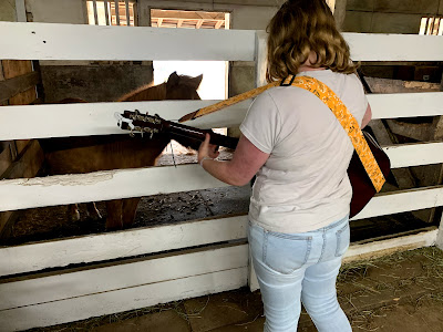 Playing guitar for Reggie the Miniature Horse
