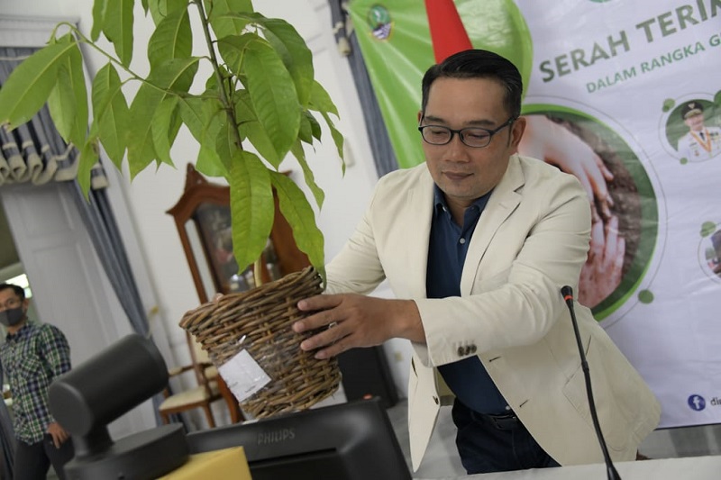 Gerakan Tanam+Pelihara 50 Juta Pohon Ridwan Kamil Terima dan Serahkan Pohon Secara Virtual