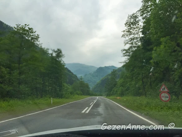 Trabzon Rize gezisindeki yeşil vadilerden geçen düzgün yollar