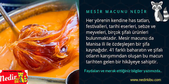 Viagra Tarzi Ilazlar Ereksiyon Ne Demek Testesteron Artirici Ilazlar Adazayi Erkeklere Zararlimi