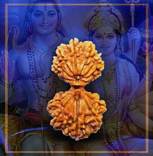 गौरी शंकर रुद्राक्ष के धनदायक असीमित चमत्कारी फायदे  श्रम वीर भारत न्यूज़/एस्ट्रोलॉजी वास्तु शास्त्र 5अगस्त 2021