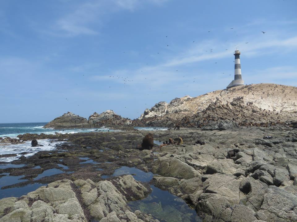 Reserva Nacional Sistema de Islas Islotes y Puntas Guaneras