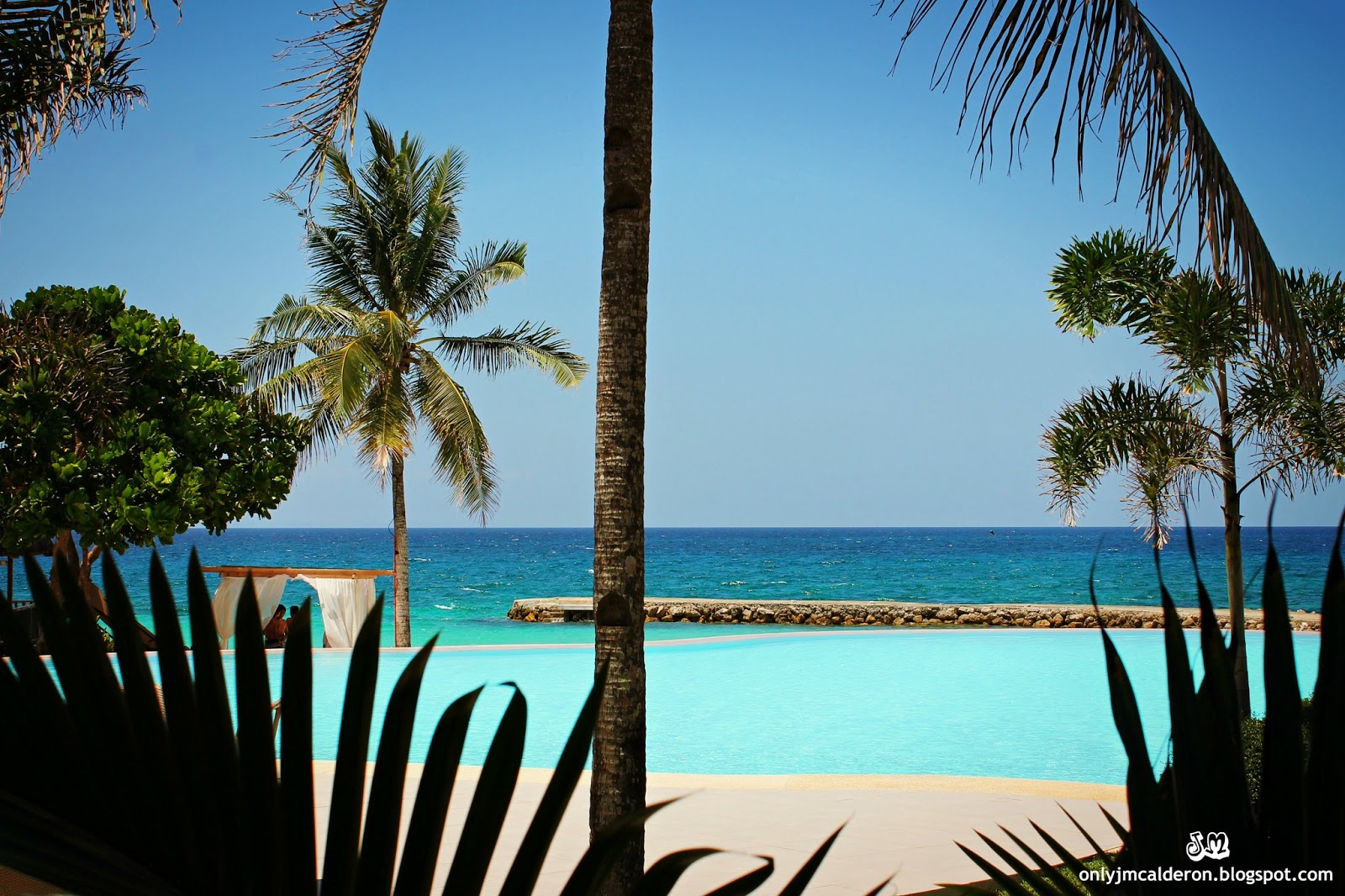 koi-pond-like-pools-tropical-paradise.jpg