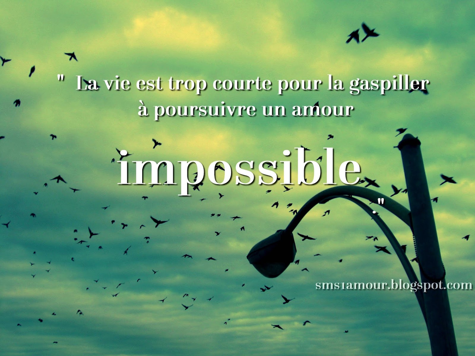 Je T Aime I Love You