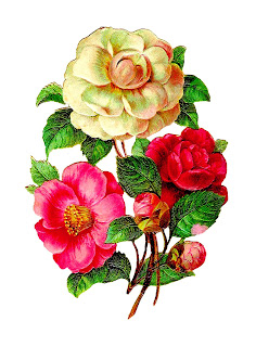 scrapbooking flower image flower camellia image botanical download