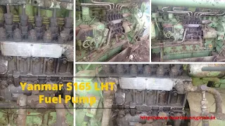 Yanmar Engine, Spare Parts, Fuel Pump, block, head, piston, connecting rod, bearing