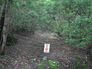 Aokigahara Ghost Forest