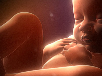 Achevée! foto de bebe en el vientre 343656-Imagenes de bebés en el vientre de 5 meses